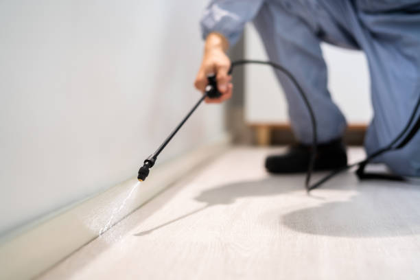 Licensed Termite Control service in Georgetown, CA - Show Me Pest Control