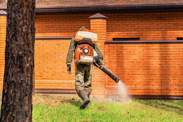 Bed Bug Clearance Verification and Documentation in Georgetown